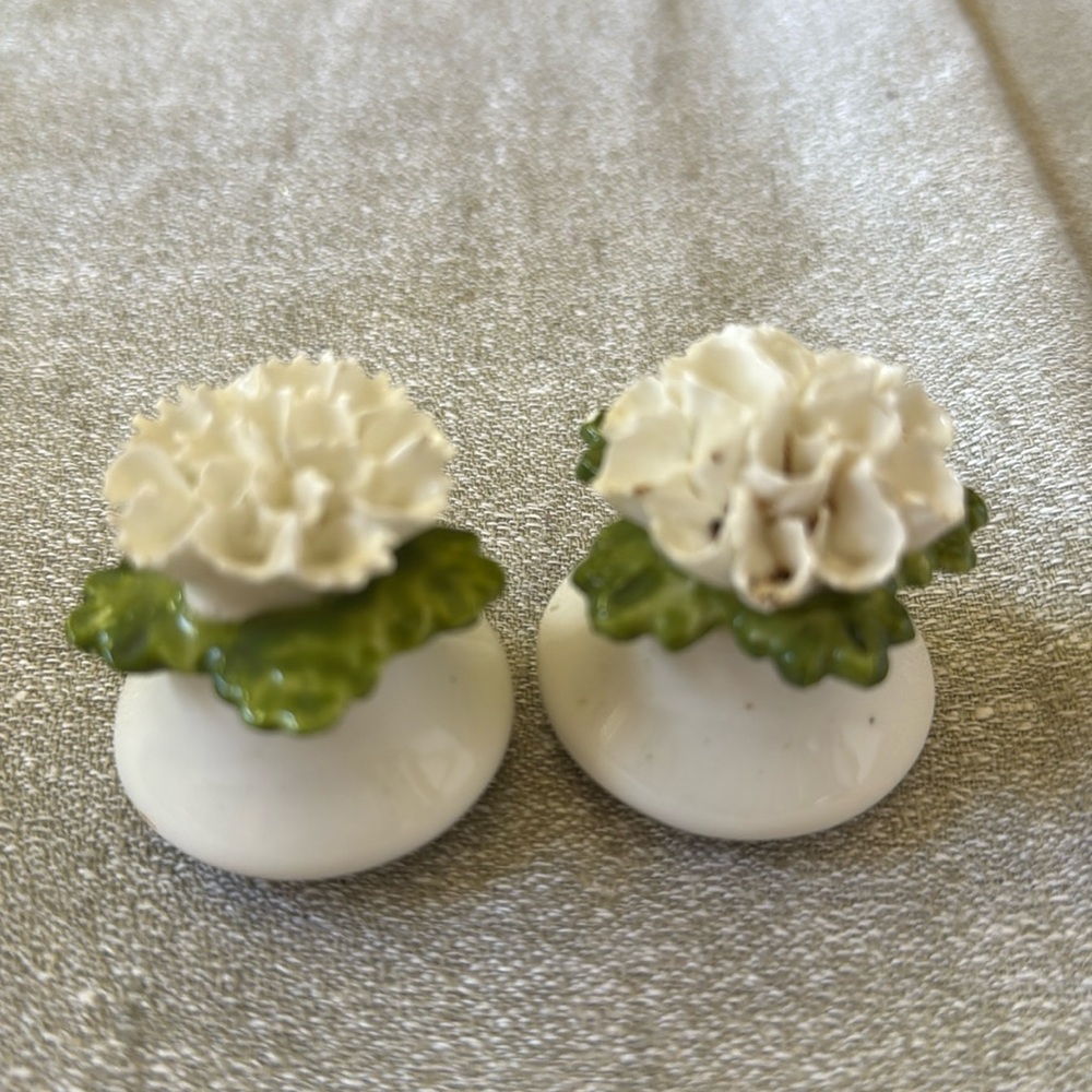 2 Salt & Pepper shakers Denton & Aynsley China England White Green floral